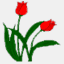 tulpensite.nl