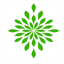 amandasabwellness.com