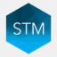 stmgroup-ir.com