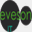 evesonit.com