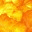 crustybreadblog.com