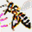 honeybeecam.co.uk