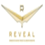 projectreveal.com