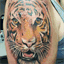 lukewagner.name