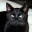 meowvelous.wordpress.com