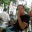 zdruleanu.wordpress.com