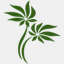 handsonmaui.com