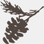 mudmonster.org
