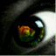 emeraldwake.wordpress.com