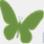 everlights.com