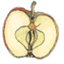 theseedblog.com