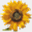 covita.ch