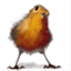 inquisitivebird.wordpress.com