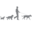 evolutionvets.co.uk