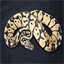 ballpythons4africa.co.za