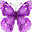 manybellscreations.com