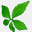 sanleaf.nl