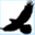 soaringravenweb.ca