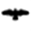 lonesomecrow.net