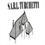 sarlturchetti.com