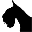 astrafortunata.com