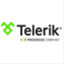 telerikhelper.net