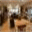 timbertrappings.com