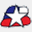 sms.chilenos.ru