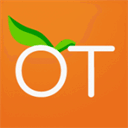 orangethemes.ticksy.com