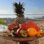 thephala.com