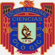 encb.ipn.mx