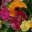 endlessafter.wordpress.com