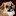 tibetspaniel.net