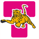 tiger-hebezeuge.de