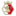 glubczyce.com.pl
