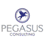 pegasus-consulting.at