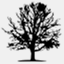 zenith-consulting.it