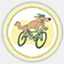 rescuerider.com