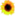 logbird.net
