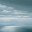 nevsoblog.wordpress.com