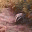 badgerclass.wordpress.com