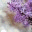 phithuy.wordpress.com