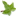 ivytop.net