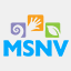 msnv.org
