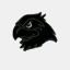deserthawks.org