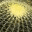 namethatblog.wordpress.com