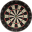 dartssoftware.com