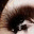 designontheskin.wordpress.com