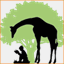 tutormewild.com