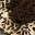 decolaser.wordpress.com